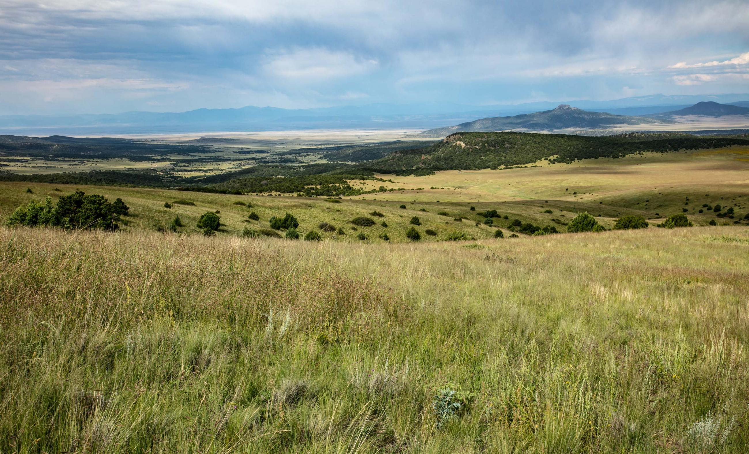 Laughlin Peak Ranch Chas S. Middleton